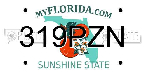 319PZN Florida License Plate