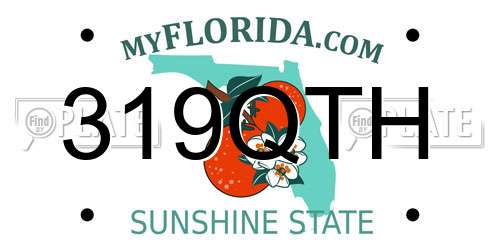 319QTH Florida License Plate