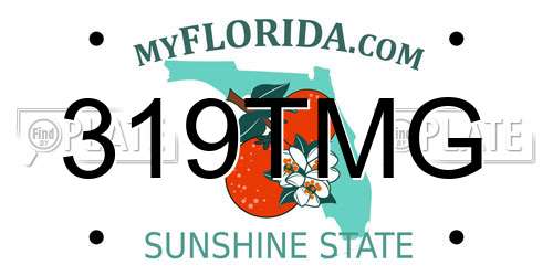 319TMG Florida License Plate