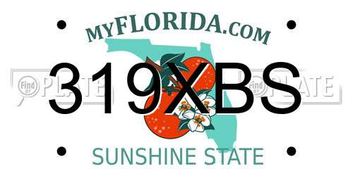 319XBS Florida License Plate
