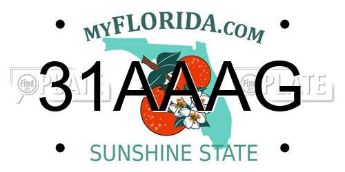 31AAAG Florida License Plate