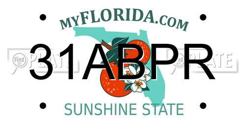 31ABPR Florida License Plate