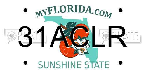 31ACLR Florida License Plate