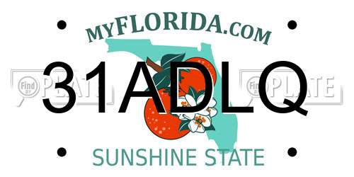 31ADLQ Florida License Plate
