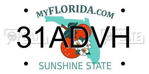 31ADVH Florida License Plate