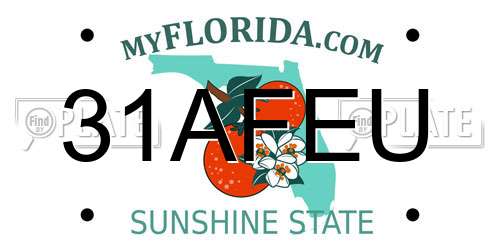 31AFEU Florida License Plate