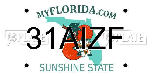31AIZF Florida License Plate