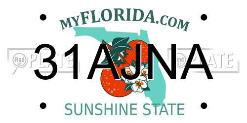 31AJNA Florida License Plate