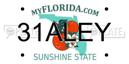 31ALEY Florida License Plate
