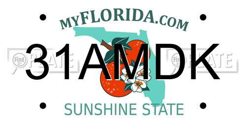 31AMDK Florida License Plate