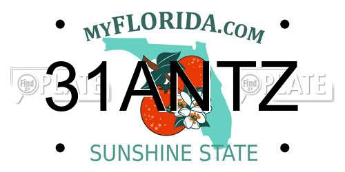 31ANTZ Florida License Plate