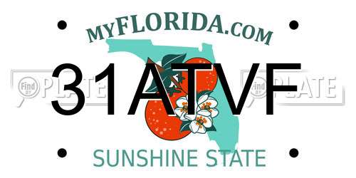 31ATVF Florida License Plate