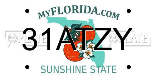 31ATZY Florida License Plate