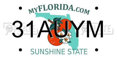 31AUYM Florida License Plate