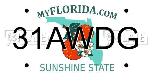 31AWDG Florida License Plate