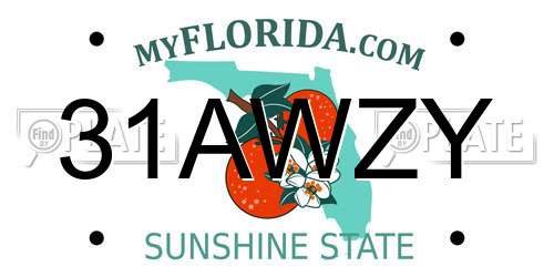 31AWZY Florida License Plate