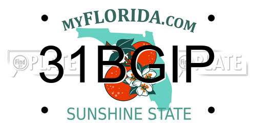 31BGIP Florida License Plate