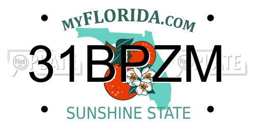 31BPZM Florida License Plate
