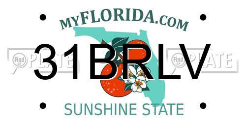 31BRLV Florida License Plate