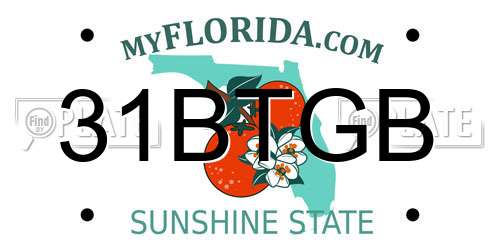 31BTGB Florida License Plate