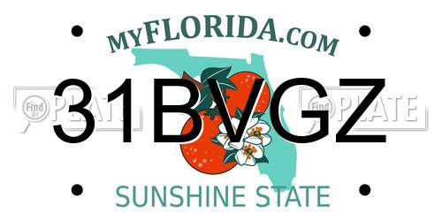 31BVGZ Florida License Plate