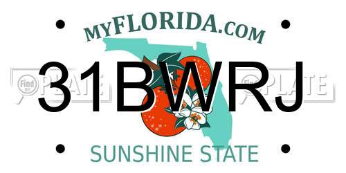 31BWRJ Florida License Plate
