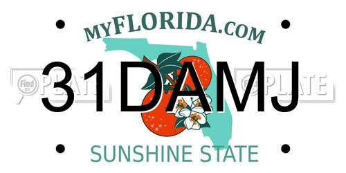31DAMJ Florida License Plate