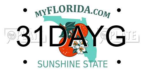 31DAYG Florida License Plate
