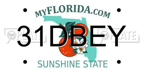 31DBEY Florida License Plate