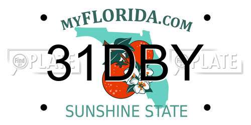 31DBY Florida License Plate