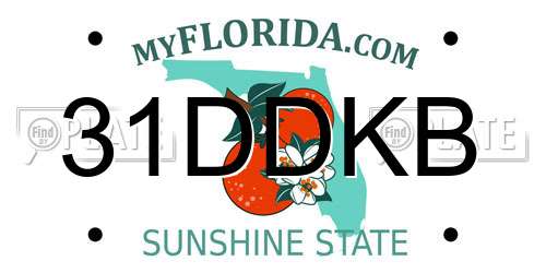 31DDKB Florida License Plate