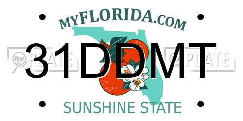 31DDMT Florida License Plate