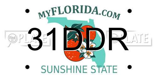 31DDR Florida License Plate