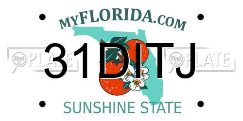 31DITJ Florida License Plate