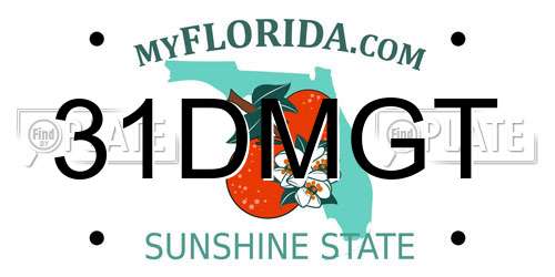 31DMGT Florida License Plate