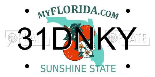 31DNKY Florida License Plate