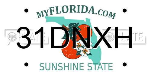 31DNXH Florida License Plate