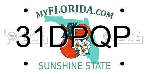 31DPQP Florida License Plate