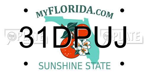 31DPUJ Florida License Plate