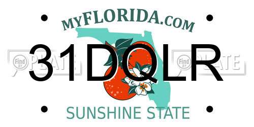 31DQLR Florida License Plate