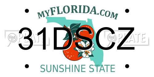 31DSCZ Florida License Plate