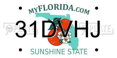 31DVHJ Florida License Plate