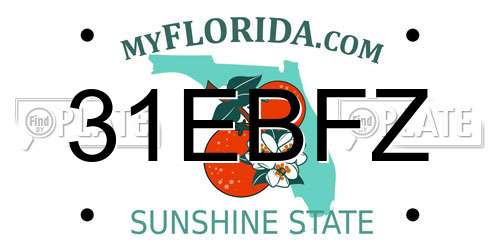 31EBFZ Florida License Plate