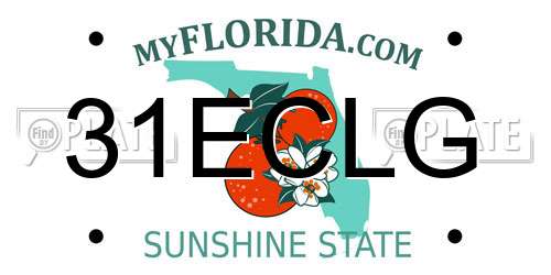 31ECLG Florida License Plate