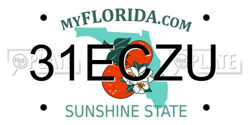 31ECZU Florida License Plate