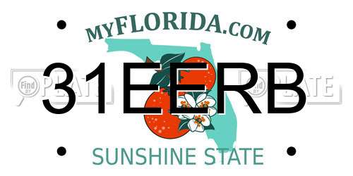 31EERB Florida License Plate