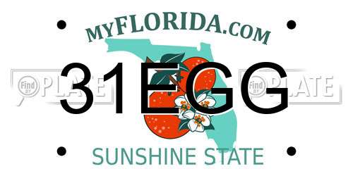 31EGG Florida License Plate