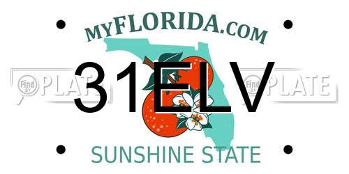 31ELV Florida License Plate