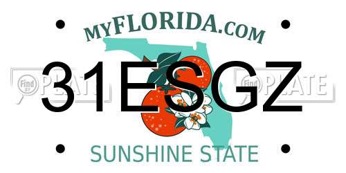 31ESGZ Florida License Plate