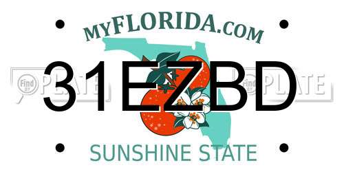 31EZBD Florida License Plate